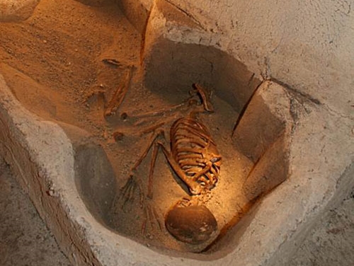 Çatalhöyük ev içi gömü geleneği
